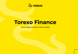 Torexo – обзор проекта и объективный отзыв о нем
